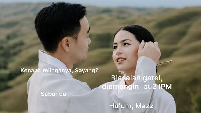 meme maudy ayunda