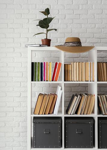 bookshelf-with-plant-hat